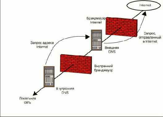   DNS    